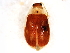  ( - 10BBCOL-0167)  @12 [ ] CreativeCommons - Attribution (2010) CBG Photography Group Centre for Biodiversity Genomics