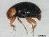  ( - 10BBCOL-0494)  @13 [ ] CreativeCommons - Attribution (2010) CBG Photography Group Centre for Biodiversity Genomics