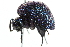  ( - 10BBCOL-0544)  @14 [ ] CreativeCommons - Attribution (2010) CBG Photography Group Centre for Biodiversity Genomics