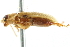  ( - 10BBCOL-0757)  @13 [ ] CreativeCommons - Attribution (2010) CBG Photography Group Centre for Biodiversity Genomics