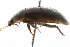  ( - 10BBCOL-0831)  @12 [ ] CreativeCommons - Attribution (2010) CBG Photography Group Centre for Biodiversity Genomics