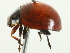  ( - 10BBCOL-0873)  @12 [ ] CreativeCommons - Attribution (2010) CBG Photography Group Centre for Biodiversity Genomics