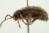  ( - 10BBCOL-0912)  @12 [ ] CreativeCommons - Attribution (2010) CBG Photography Group Centre for Biodiversity Genomics