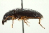  ( - 10BBCOL-0938)  @13 [ ] CreativeCommons - Attribution (2010) CBG Photography Group Centre for Biodiversity Genomics