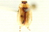  ( - 10BBCOL-0757)  @13 [ ] CreativeCommons - Attribution (2010) CBG Photography Group Centre for Biodiversity Genomics