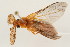  ( - 09BBCOL-0217)  @14 [ ] CreativeCommons - Attribution (2009) Unspecified Centre for Biodiversity Genomics