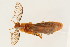  ( - 09BBCOL-0218)  @14 [ ] CreativeCommons - Attribution (2009) Unspecified Centre for Biodiversity Genomics