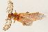  ( - 09BBCOL-0219)  @14 [ ] CreativeCommons - Attribution (2009) Unspecified Centre for Biodiversity Genomics