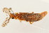  ( - 09BBCOL-0220)  @14 [ ] CreativeCommons - Attribution (2009) Unspecified Centre for Biodiversity Genomics