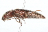  ( - 09BBCOL-0392)  @13 [ ] CreativeCommons - Attribution (2009) Unspecified Centre for Biodiversity Genomics