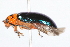  ( - 09BBCOL-0412)  @13 [ ] CreativeCommons - Attribution (2009) Unspecified Centre for Biodiversity Genomics