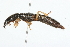  ( - 09BBCOL-0471)  @13 [ ] CreativeCommons - Attribution (2009) Unspecified Centre for Biodiversity Genomics