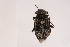  ( - 09BBCOL-0079)  @14 [ ] CreativeCommons - Attribution (2009) Unspecified Centre for Biodiversity Genomics