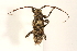  ( - 09BBCOL-0129)  @14 [ ] CreativeCommons - Attribution (2009) Unspecified Centre for Biodiversity Genomics