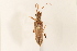  ( - 09BBCOL-0150)  @14 [ ] CreativeCommons - Attribution (2009) Unspecified Centre for Biodiversity Genomics
