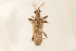  ( - 09BBCOL-0152)  @14 [ ] CreativeCommons - Attribution (2009) Unspecified Centre for Biodiversity Genomics