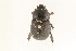  ( - 09BBCOL-0482)  @14 [ ] CreativeCommons - Attribution (2009) Unspecified Centre for Biodiversity Genomics