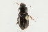  ( - 09BBCOL-0668)  @14 [ ] CreativeCommons - Attribution (2009) Unspecified Centre for Biodiversity Genomics