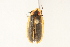  ( - 09BBCOL-0688)  @13 [ ] CreativeCommons - Attribution (2009) Unspecified Centre for Biodiversity Genomics