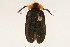  ( - 09BBCOL-0701)  @13 [ ] CreativeCommons - Attribution (2009) Unspecified Centre for Biodiversity Genomics