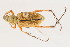  ( - 09BBCOL-0300)  @13 [ ] CreativeCommons - Attribution (2009) Unspecified Centre for Biodiversity Genomics