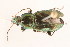  ( - 09BBCOL-0326)  @13 [ ] CreativeCommons - Attribution (2009) Unspecified Centre for Biodiversity Genomics