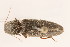  ( - 09BBCOL-0372)  @13 [ ] CreativeCommons - Attribution (2009) Unspecified Centre for Biodiversity Genomics