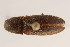  ( - 09BBCOL-0373)  @13 [ ] CreativeCommons - Attribution (2009) Unspecified Centre for Biodiversity Genomics