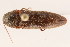  ( - 09BBCOL-0378)  @14 [ ] CreativeCommons - Attribution (2009) Unspecified Centre for Biodiversity Genomics