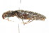  ( - 09BBCOL-0371)  @14 [ ] CreativeCommons - Attribution (2009) Unspecified Centre for Biodiversity Genomics