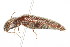  ( - 09BBCOL-0376)  @14 [ ] CreativeCommons - Attribution (2009) Unspecified Centre for Biodiversity Genomics