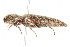  ( - 09BBCOL-0380)  @14 [ ] CreativeCommons - Attribution (2009) Unspecified Centre for Biodiversity Genomics