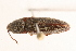  ( - 09BBCOL-0382)  @13 [ ] CreativeCommons - Attribution (2009) Unspecified Centre for Biodiversity Genomics