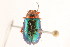 ( - 09BBCOL-0414)  @13 [ ] CreativeCommons - Attribution (2009) Unspecified Centre for Biodiversity Genomics
