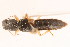  ( - 09BBCOL-0471)  @13 [ ] CreativeCommons - Attribution (2009) Unspecified Centre for Biodiversity Genomics
