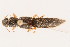  ( - 09BBCOL-0472)  @13 [ ] CreativeCommons - Attribution (2009) Unspecified Centre for Biodiversity Genomics