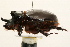  ( - 09BBCOL-0027)  @11 [ ] CreativeCommons - Attribution (2009) Unspecified Centre for Biodiversity Genomics