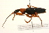  ( - 09BBCOL-0059)  @14 [ ] CreativeCommons - Attribution (2009) Unspecified Centre for Biodiversity Genomics