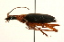  ( - 09BBCOL-0060)  @13 [ ] CreativeCommons - Attribution (2009) Unspecified Centre for Biodiversity Genomics