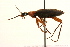  ( - 09BBCOL-0061)  @13 [ ] CreativeCommons - Attribution (2009) Unspecified Centre for Biodiversity Genomics