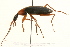  ( - 09BBCOL-0062)  @14 [ ] CreativeCommons - Attribution (2009) Unspecified Centre for Biodiversity Genomics