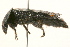  ( - 09BBCOL-0077)  @13 [ ] CreativeCommons - Attribution (2009) Unspecified Centre for Biodiversity Genomics