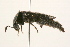  ( - 09BBCOL-0079)  @13 [ ] CreativeCommons - Attribution (2009) Unspecified Centre for Biodiversity Genomics