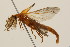  ( - 09BBCOL-0219)  @14 [ ] CreativeCommons - Attribution (2009) Unspecified Centre for Biodiversity Genomics