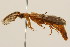  ( - 09BBCOL-0220)  @14 [ ] CreativeCommons - Attribution (2009) Unspecified Centre for Biodiversity Genomics