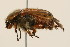  ( - 09BBCOL-0257)  @13 [ ] CreativeCommons - Attribution (2009) Unspecified Centre for Biodiversity Genomics