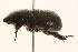  ( - 09BBCOL-0481)  @13 [ ] CreativeCommons - Attribution (2009) Unspecified Centre for Biodiversity Genomics