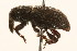  ( - 09BBCOL-0507)  @14 [ ] CreativeCommons - Attribution (2009) Unspecified Centre for Biodiversity Genomics