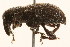  ( - 09BBCOL-0508)  @14 [ ] CreativeCommons - Attribution (2009) Unspecified Centre for Biodiversity Genomics