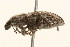  ( - 09BBCOL-0516)  @14 [ ] CreativeCommons - Attribution (2009) Unspecified Centre for Biodiversity Genomics